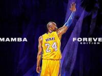 IM电竞APP-卡塔尔奇迹，库尔图瓦神级扑救粉碎阿根廷，门将成关键先生改写历史