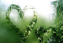 IM竞技体育平台-关于篮球技巧传授班开课，学员积极参与的信息