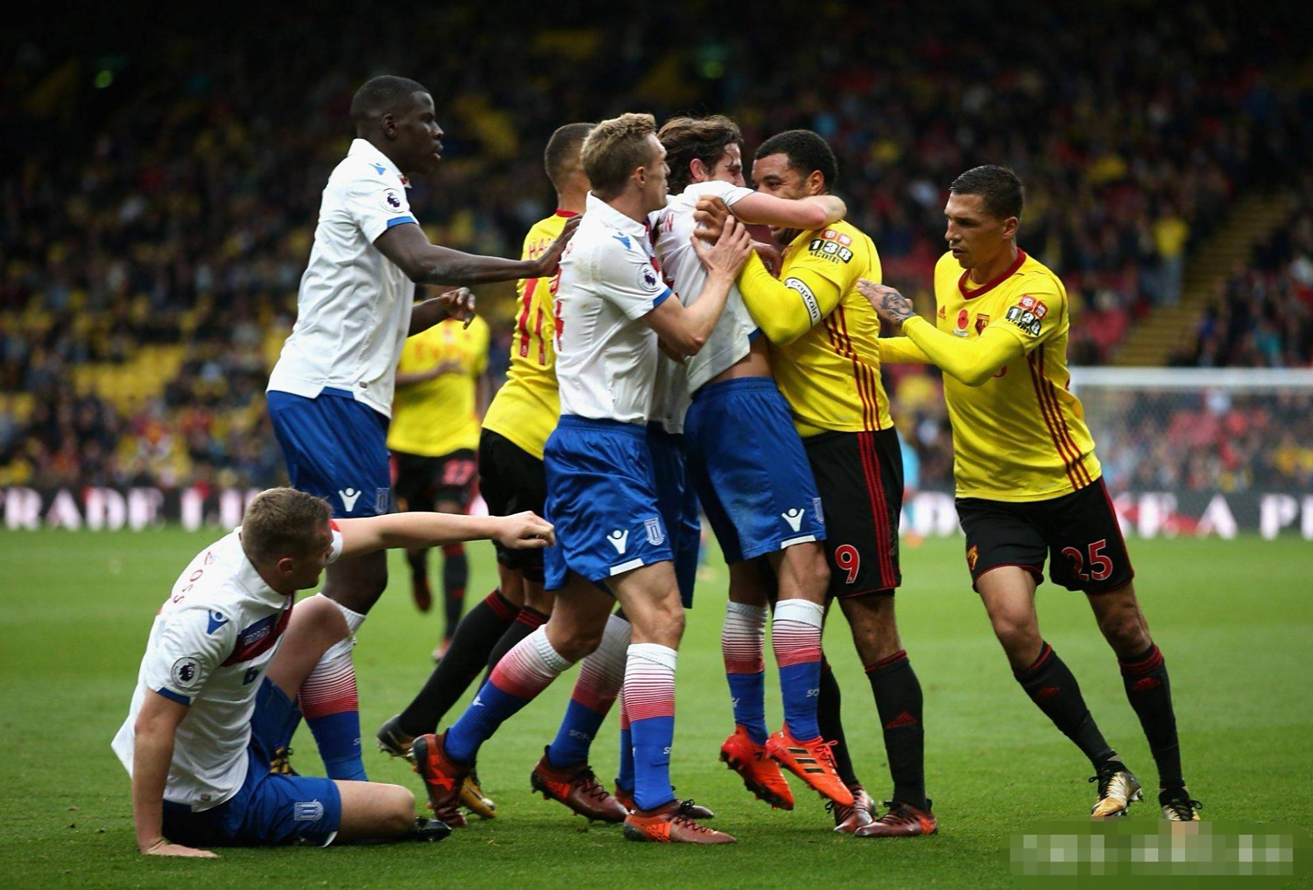 沃特福德主场取胜,英超榜上有名 沃特福德主场取胜,英超榜上有名